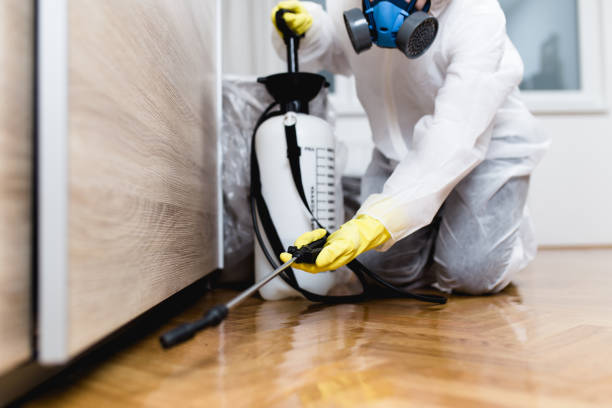Best Wasp Removal Services  in Paulding, OH