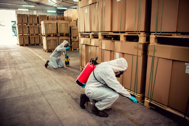 Best Mosquito Control Services  in Paulding, OH