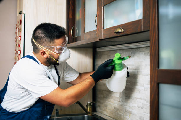 Best Pest Removal Services  in Paulding, OH