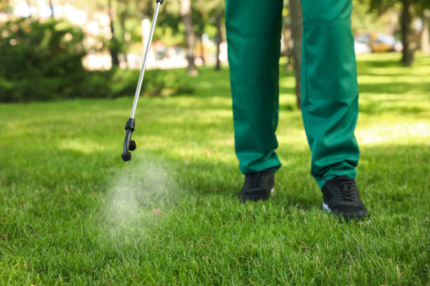 Reliable Paulding, OH Pest Control Solutions