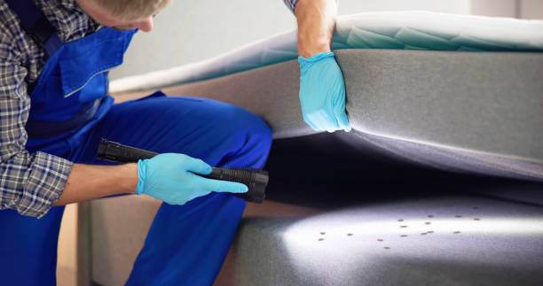 Best Exterminator Services  in Paulding, OH